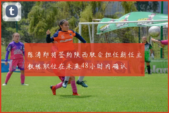 陈涛即将签约陕西联合担任新任主教练职位在未来48小时内确认