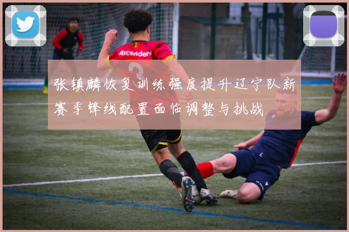 张镇麟恢复训练强度提升辽宁队新赛季锋线配置面临调整与挑战